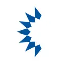 Newspring Services logo