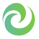 Cyber Synergy logo