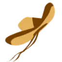 Northgate Gonzalez Markets, Inc. logo