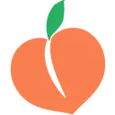 Peach State Ford logo