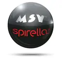 MSV Deutschland GmbH logo