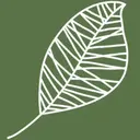 Praxis für Paartherapie Düsseldorf logo
