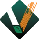 V2Soft logo