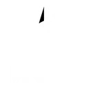 Noble West logo