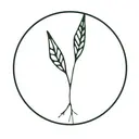 Root Functional Medicine logo