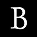 Baldor Professional Services, LLC logo