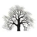 Edgewood logo