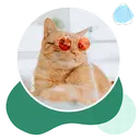 Georgetown Veterinary Clinic logo