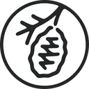 Waverley Street Foundation logo