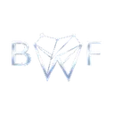 BWF Prothetik & Ästhetik GmbH logo