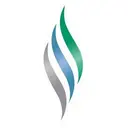 Northwest Surgical logo