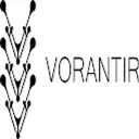 Vorantir logo