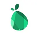 Pomelo logo