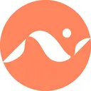 Title Nine Sports Inc logo