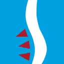 Premier Spine & Pain Institute logo
