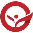 Nkona Group logo
