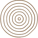 Earth logo