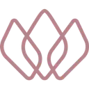 Susan Wojcicki Foundation logo
