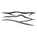 Black Mountain Dynamics logo