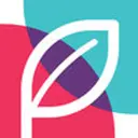 Promisestudio logo