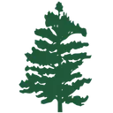 Alpha Home Health logo