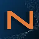 Nelson Enterprise Technology Services logo