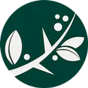 Blackthorne Consulting logo