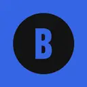 Brains logo