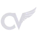 Clear View Compass Llc logo