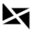 Xylo Risk Inc logo