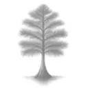 Cypress Lake Solutions logo