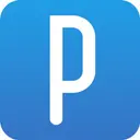 Pingpong Global Solutions Inc logo