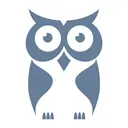Cyber Owl logo