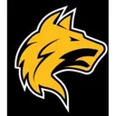 Simba Talent logo