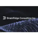 BrainRidge Consulting logo