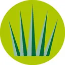 Greenfields logo