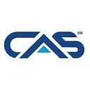 CAS Automotive logo