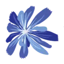 Sentinel Finance Group logo