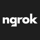 ngrok Inc. logo