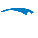 HSI logo