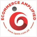 iGATE Technology logo
