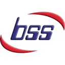 Business System Solutions logo