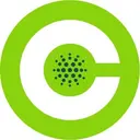 Celtic Chicago Inc logo
