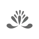 Children of the Nations logo