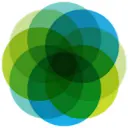 Center for Survivor Agency and Justice logo