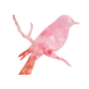 Sparrows Nest logo
