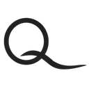 The Aqua Life Swim Academy logo