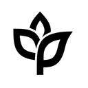 Ankorstore logo