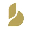 Baton Corporation Ltd logo