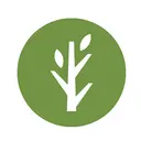 Roots Wellness Center logo